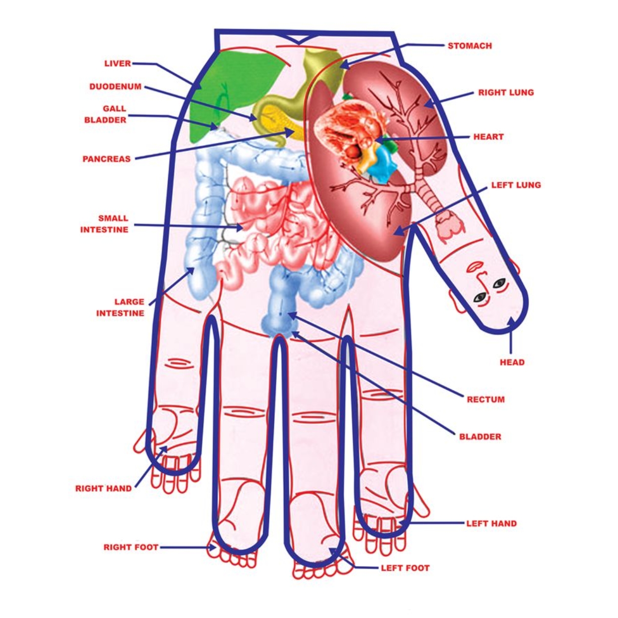 k-start-course-image